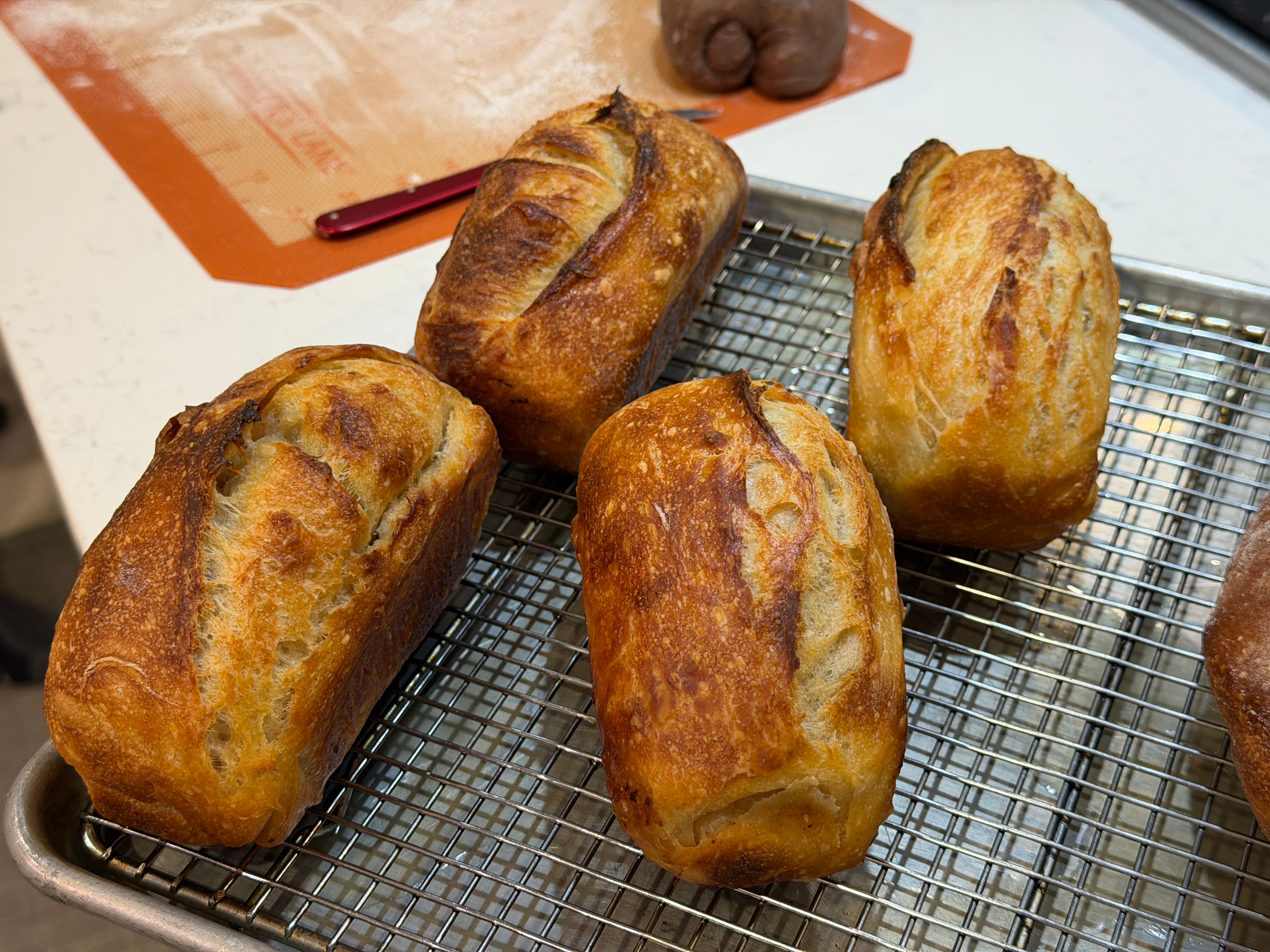Sourdough loaves in soft morning light