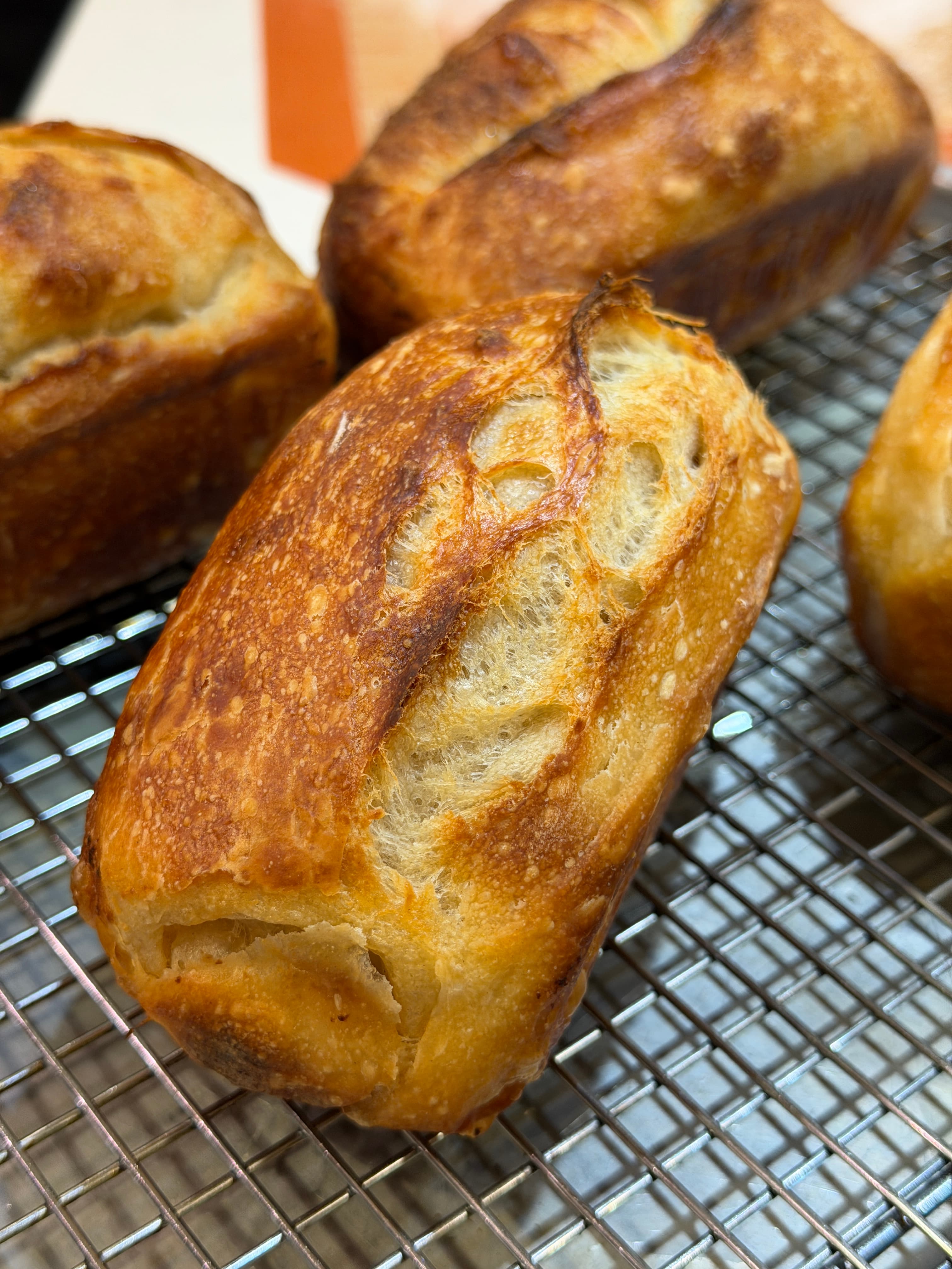 Mini sourdough loaves resting after the bake